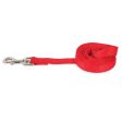 Petmate Red 4  Nylon Lead   Leash Cheap