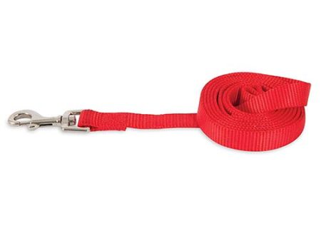 Petmate Red 4  Nylon Lead   Leash Cheap