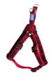 Dog & Co Padded Harness Red Medium Discount