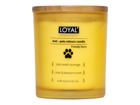 Loyal Pet Odour Eliminator Candle 235g Online now