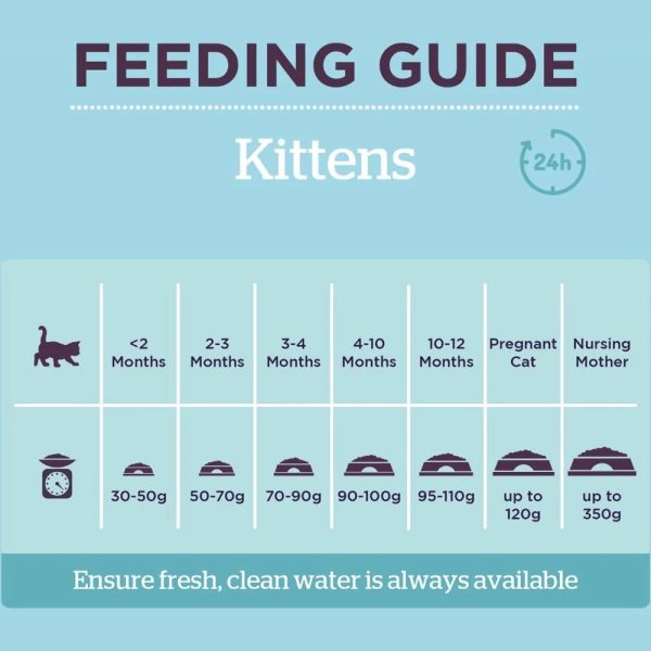 Burgess Kitten Cat Food Chicken 1.5kg Online