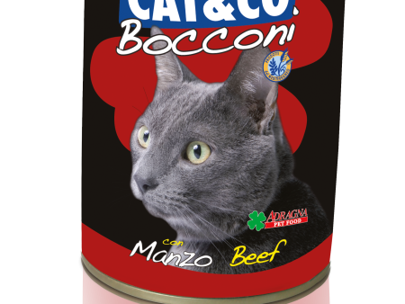 Cat & Co Cat Beef Chunks in Gravy 400g Supply