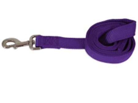 Petmate Purple 6  Nylon Lead   Leash Online now