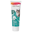 Beaphar Active Paste Junior Cat 100g Fashion