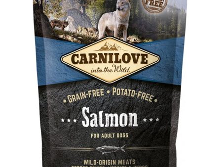 Carnilove Dog Salmon on Sale